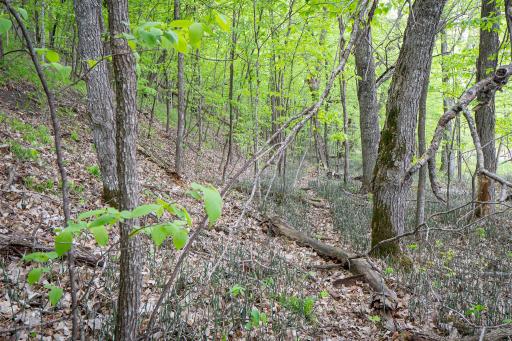 (Lot 7) TBD NE Rock Lake Road, Rochert, MN 56578