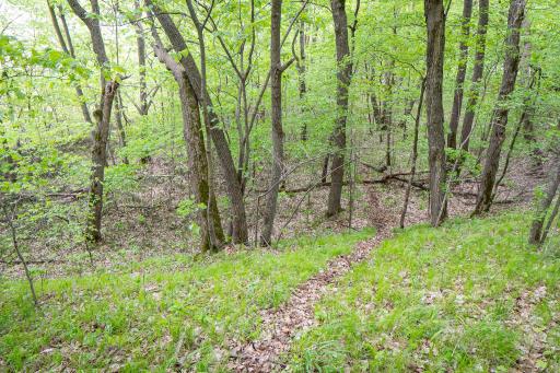 (Lot 7) TBD NE Rock Lake Road, Rochert, MN 56578