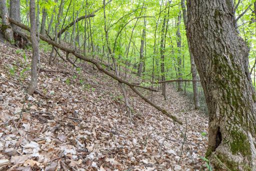 (Lot 7) TBD NE Rock Lake Road, Rochert, MN 56578