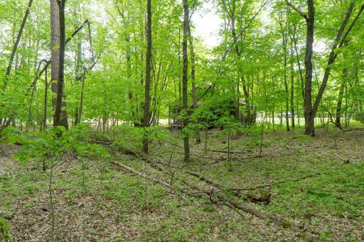 (Lot 7) TBD NE Rock Lake Road, Rochert, MN 56578