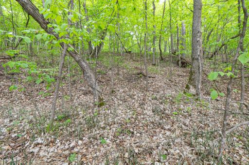 (Lot 7) TBD NE Rock Lake Road, Rochert, MN 56578