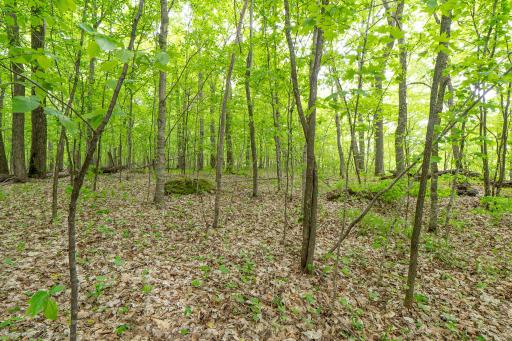 (Lot 7) TBD NE Rock Lake Road, Rochert, MN 56578