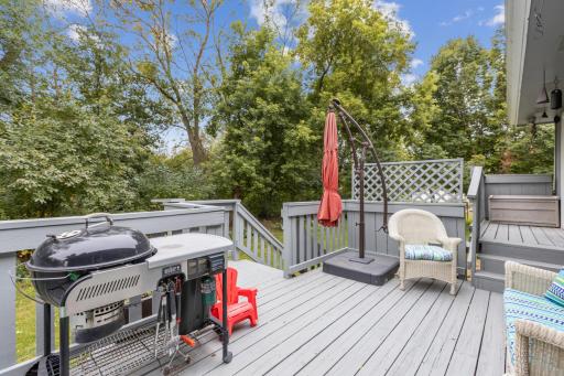 4161 Maplewood Road, Saint Bonifacius, MN 55375