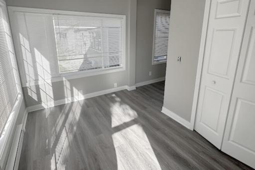 4010 Dupont Lower Level Bedroom 2 B.jpeg