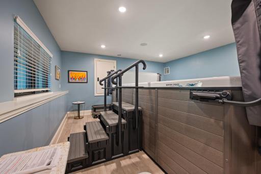 Lower level flex room with top of the line swim spa