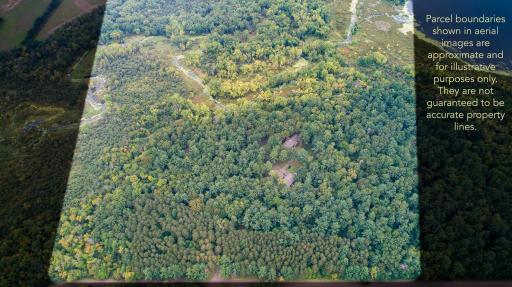 Stanchfield, MN 55080