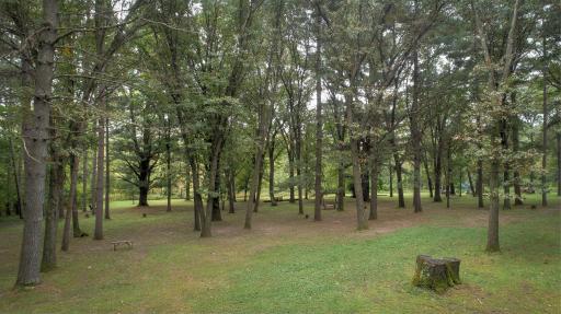 Stanchfield, MN 55080