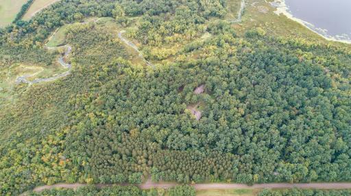 Stanchfield, MN 55080