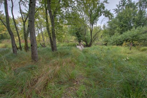 Stanchfield, MN 55080