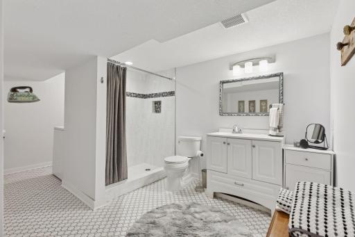 Huge Lower Level Luxury 3/4 tiled walk-in shower, new white enamel cabinets, tile floors and toilet. The Laundry Room is adjacent to the back of the bathroom along with extra storage closet.