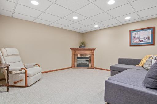 Bright lower level family room with electric Fireplace!