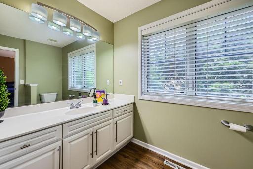 1604 121st Circle NW, Minneapolis, MN 55448