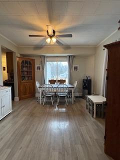 96 7th St SW May DR 1.jpeg