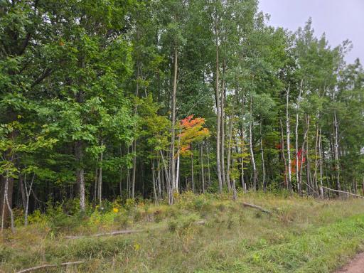 Photo for xxxx Tract C Pioneer Road, Barnum, MN 55707 - listing #6787838 xxxx Tract C Pioneer Road, Barnum, MN 55707