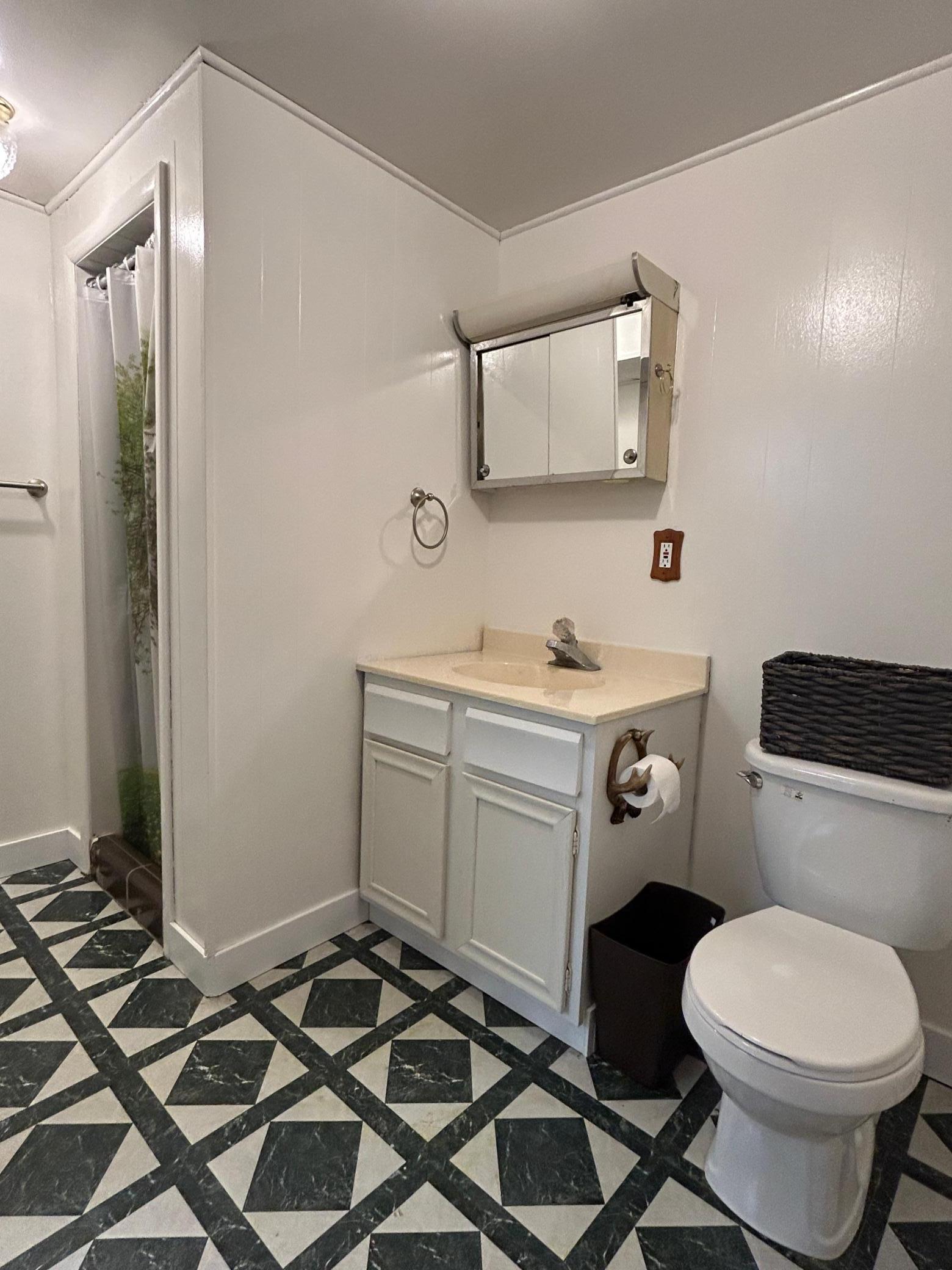 Basement Bath.JPG