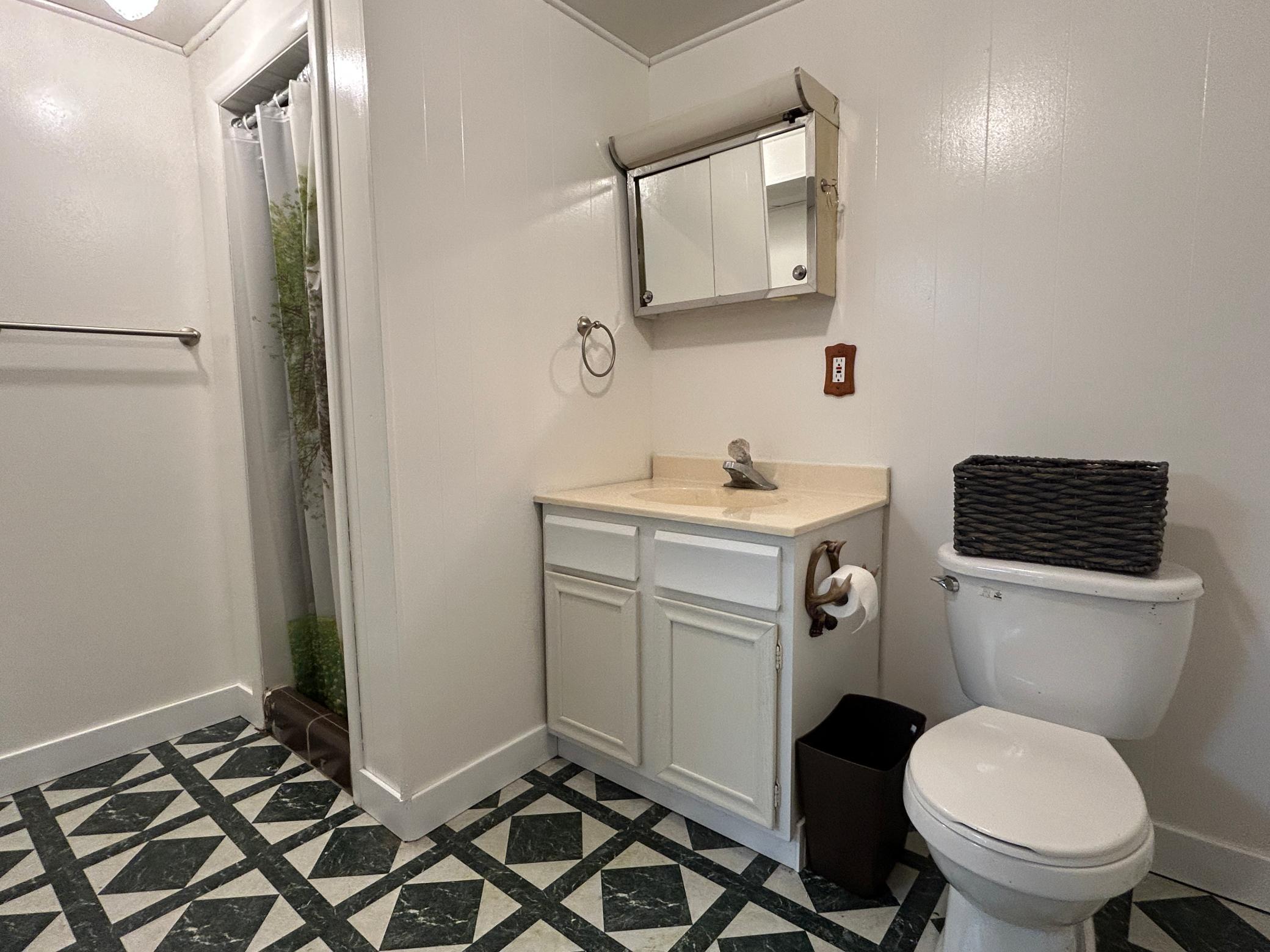 Basement Bath.JPG