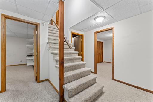 1113 Elm Street, Northfield, MN 55057