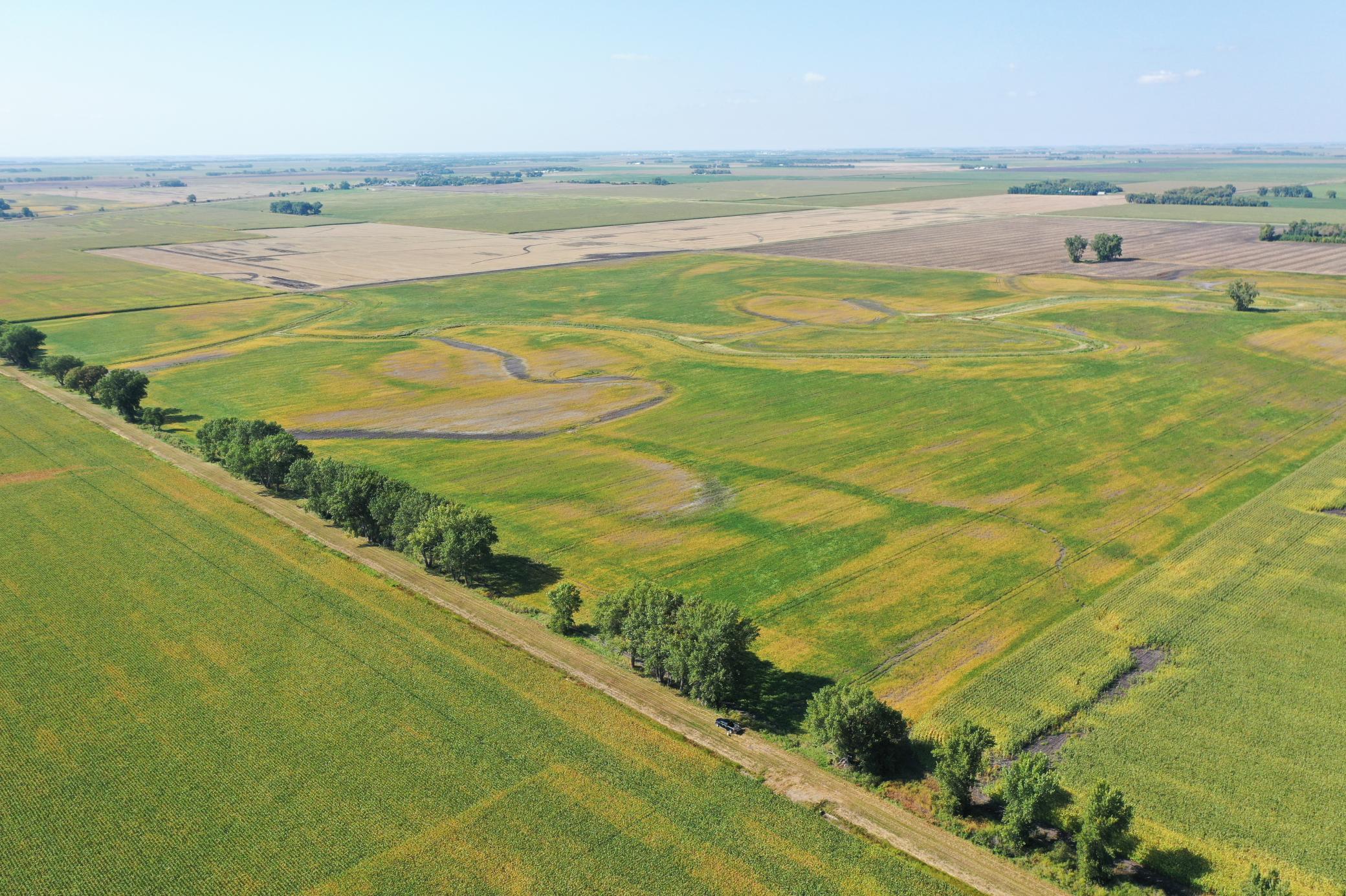 Property photo for TBD County 8, Campbell, MN 56522