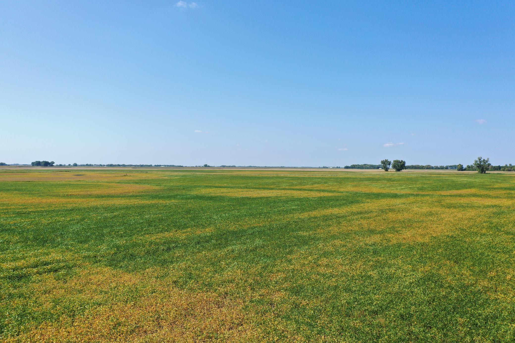 DJI_0695.JPG