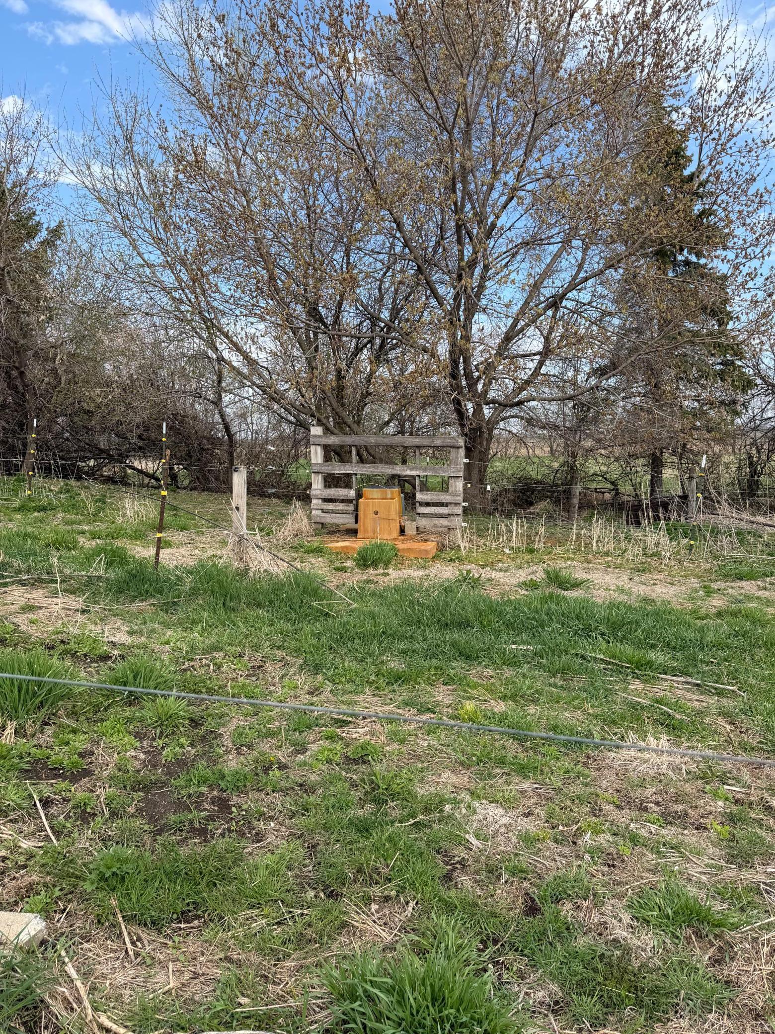 Photo Apr 15 2026, 11 29 03 AM.jpg