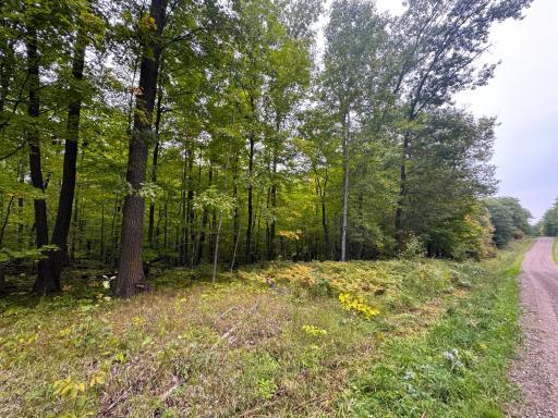 34xxx 80ac 298th Street, Aitkin, MN 56431