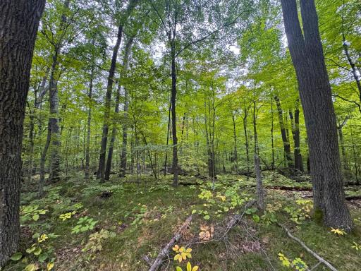34xxx 20ac 298th Street, Aitkin, MN 56431