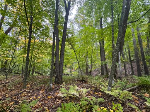 34xxx 20ac 298th Street, Aitkin, MN 56431
