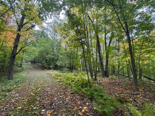 34xxx 20ac 298th Street, Aitkin, MN 56431