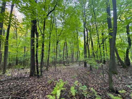 34xxx 20ac 298th Street, Aitkin, MN 56431