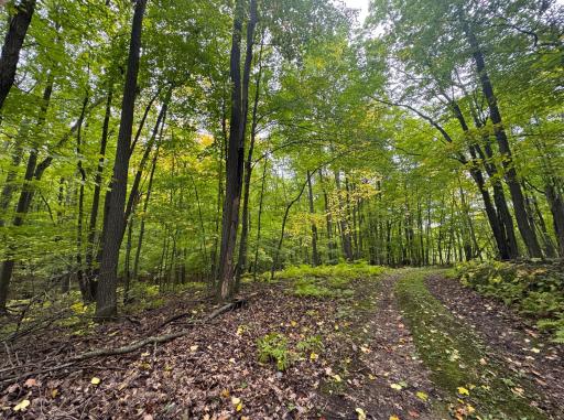 34xxx 20ac 298th Street, Aitkin, MN 56431