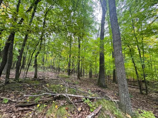 34xxx 20ac 298th Street, Aitkin, MN 56431