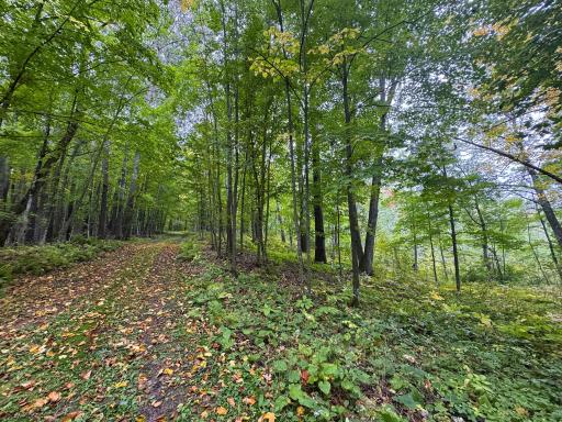 34xxx 20ac 298th Street, Aitkin, MN 56431