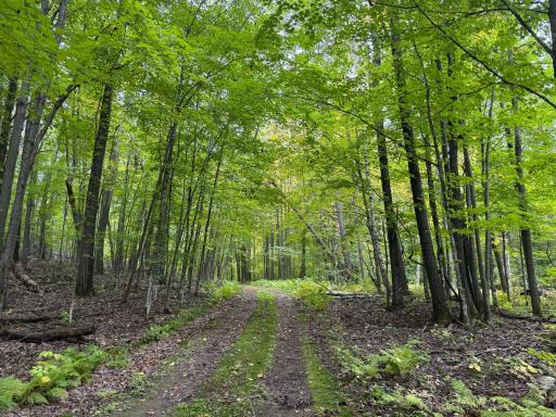 34xxx 20ac 298th Street, Aitkin, MN 56431
