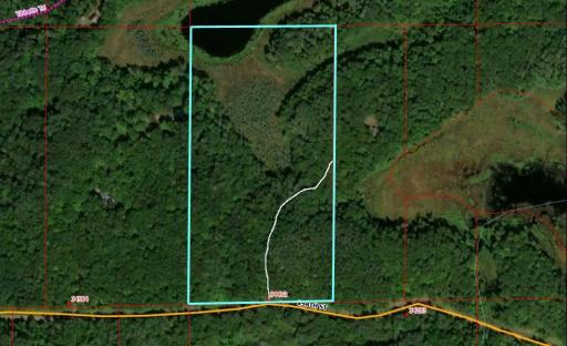 20 AC with Driveway Easement for Neighbor