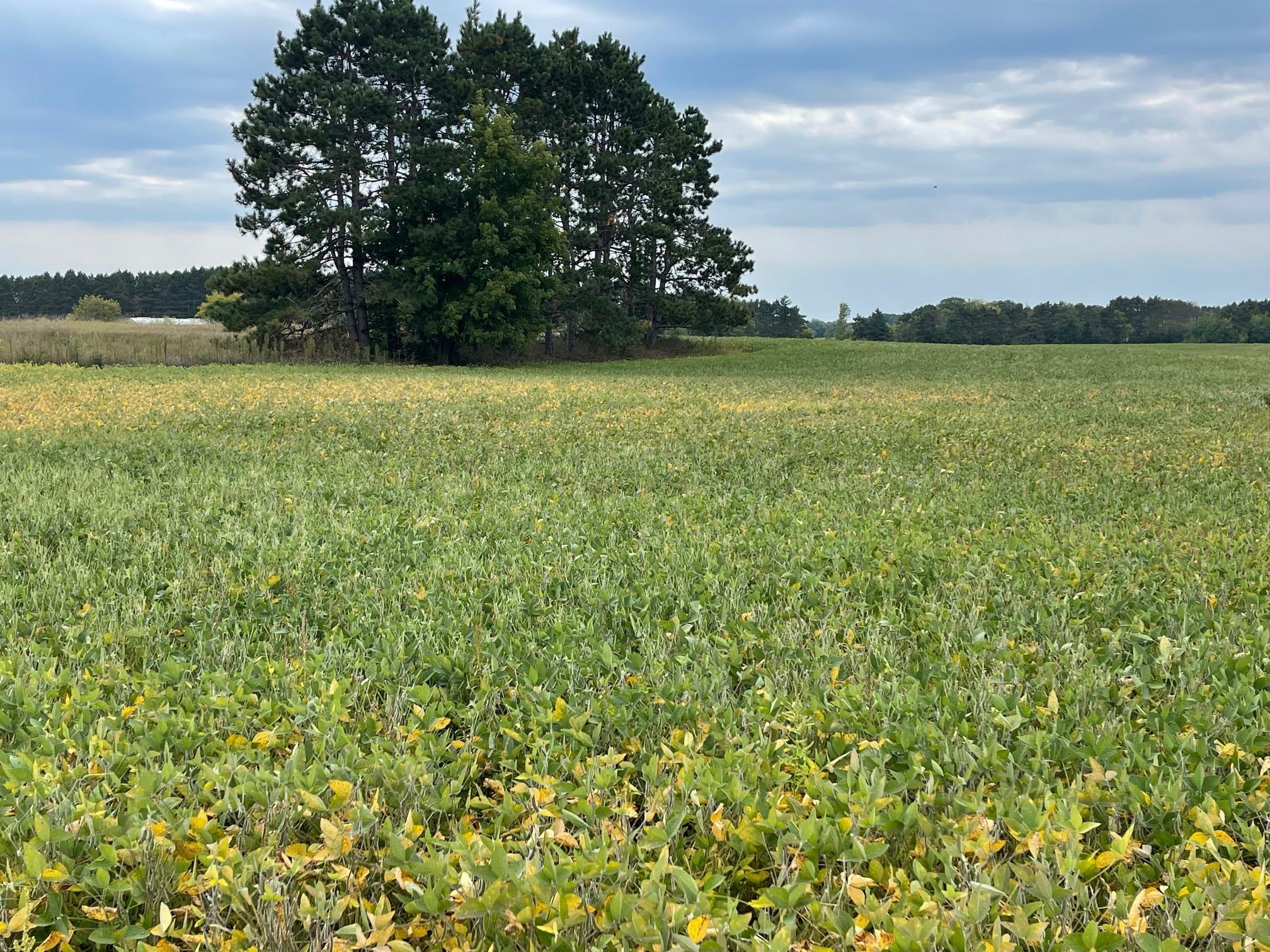 Property photo for TBD Verdin Street NW, Cambridge, MN 55008