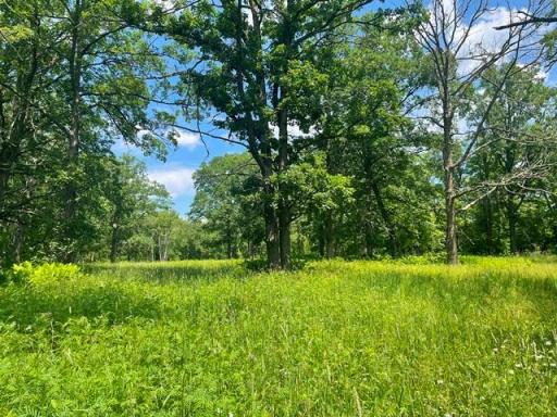TBD Greer Lake Road, Crosby, MN 56441