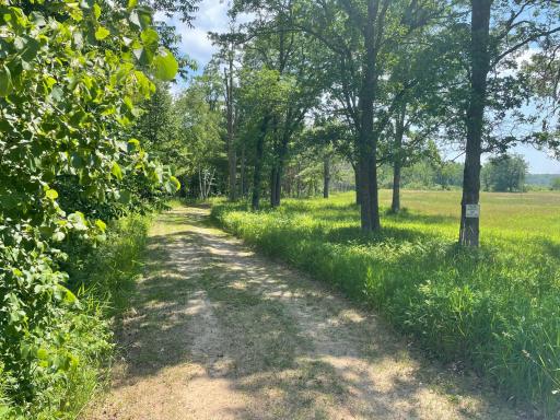 TBD Greer Lake Road, Crosby, MN 56441
