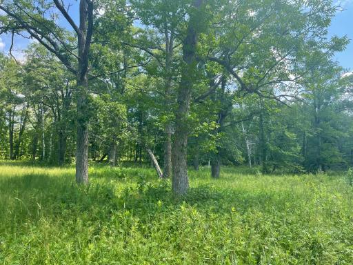 TBD Greer Lake Road, Crosby, MN 56441