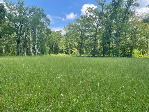 TBD Greer Lake Road, Crosby, MN 56441