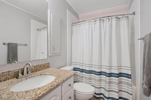 Seller updated the toilet and bath countertop
