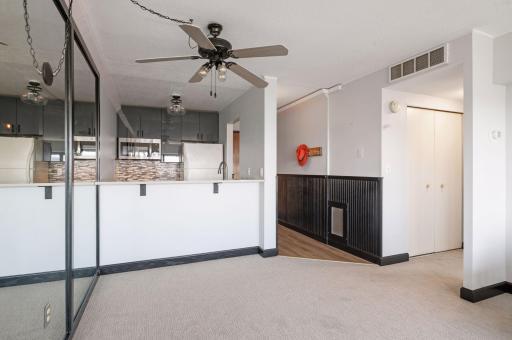 1920 S 1st Street, 1207, Minneapolis, MN 55454