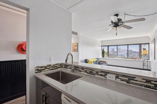 1920 S 1st Street, 1207, Minneapolis, MN 55454