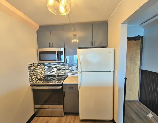 1920 S 1st Street, 1207, Minneapolis, MN 55454