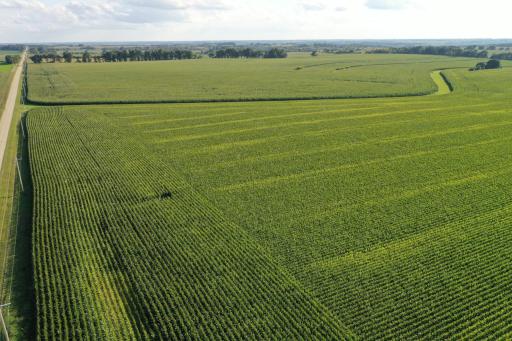 TBD 150th Avenue SE, Dover, MN 55929