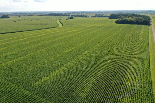 TBD 150th Avenue SE, Dover, MN 55929