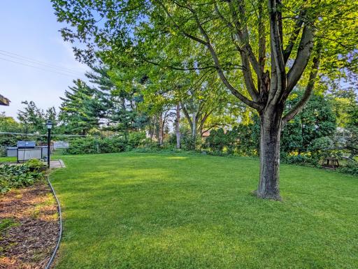 Tree coverage gives this yard shade to keep you cool in the summer!
