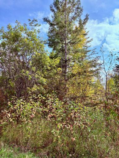 Photo for 8242 State Highway 11 SE, Baudette, MN 56623 - Listing #6788622 8242 State Highway 11 SE, Baudette, MN 56623