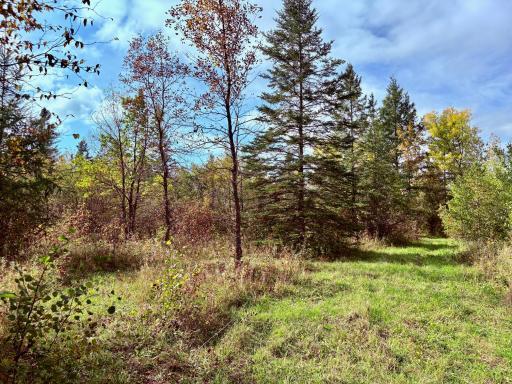 Photo for 8242 State Highway 11 SE, Baudette, MN 56623 - Listing #6788622 8242 State Highway 11 SE, Baudette, MN 56623
