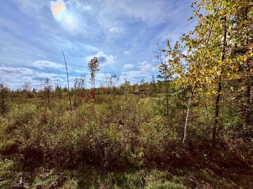 Photo for 8242 State Highway 11 SE, Baudette, MN 56623 - Listing #6788622 8242 State Highway 11 SE, Baudette, MN 56623