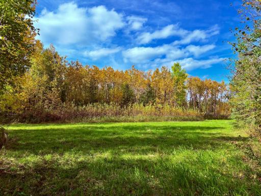 Photo for 8242 State Highway 11 SE, Baudette, MN 56623 - Listing #6788622 8242 State Highway 11 SE, Baudette, MN 56623